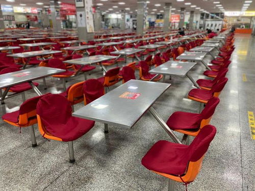 一份食堂泡芙秘方引發的走紅